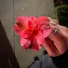 unknownuser_65o - @unknownuser_65o - TikTok