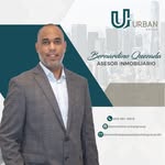 Bernardino Quezada - @bernardino.urbangroup - Instagram