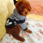 Sharon. - @sharon_uri - Instagram
