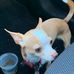 Uriah Hanson - Facebook