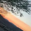 Uriah Parker - @uriah.parker - TikTok