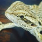 uriahphillips - @uriahphillips - Instagram