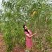 Sagnik Arya - Facebook