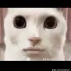 uriahtaylor60 - @uriahtaylor60 - TikTok