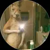 Fernandez Uriel - @urielavalos17 - TikTok