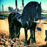Uriel Barron - @uriel.barron.750 - Instagram