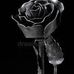 Uriel Cabrera - Facebook