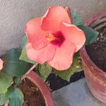 Urmi Patel - @urmi.patel.5832 - Instagram