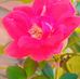 Urmi Sen - Facebook