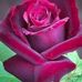 Urmi Sen - Facebook