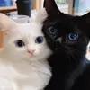 UroojNaveed321 - @uroojnaveed321 - TikTok