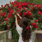 Urooj Sheikh - Facebook