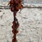 Ursula Adams - @ursula.adams.988 - Instagram