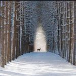 Ursula Adams - @ursula.adams.10 - Instagram