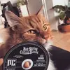 ursulaanthony - @ursulaanthony - TikTok