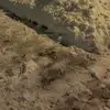 ursulabeanum326 - @ursulabeanum326 - TikTok