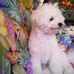 Ursula Bechtel - Facebook