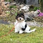 Ursula Bender - @ursula.bender.752 - Instagram