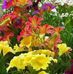 Ursula Bennett - Facebook
