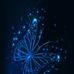 Ursula Bingham - Facebook