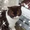 Ursula Bockhardt - @ursula.bockhardt - TikTok