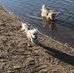 Ursula Bollinger - Facebook