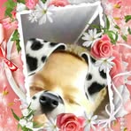 Ursula Booth - Facebook