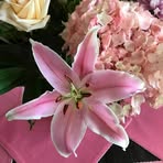 Ursula Boothe - Facebook