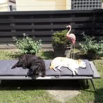 Ursula Brenner - Facebook
