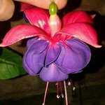 Ursula Buckley - @ursulabuckley - Instagram