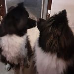 Ursula Busch - @buschursula - Instagram