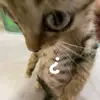 Ursula Carrillo - @ursula.carrillo0 - TikTok