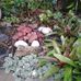 Ursula Cartwright - Facebook
