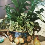 Ursulacooper_travels - @ursulacooper_travels - Instagram