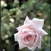 Ursula Edwards - Facebook