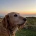 Ursula Edwards - Facebook