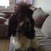 Ursula Foley - Facebook