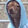 Ursula Gardner - @ursula.gardner5 - TikTok