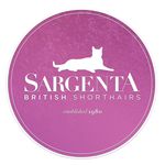 Ursula Graves - @sargentaofficial - Instagram