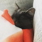 Ursula Kolmogorov the Gray - @kolmogorov_the_gray - Instagram