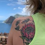 Ursula Hansen - @greebo1176 - Instagram