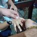 Ursula Jacob - Facebook