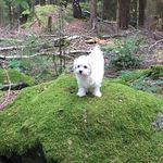 Ursula Jacob - @ursulajacob2061 - Instagram