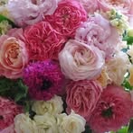 Ursula Jeanpierre - Facebook