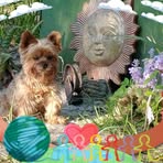 Ursula Landry - Facebook