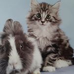 Ursula Lang - @ursula.lang50 - Instagram