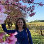 Ursula Lang - @ursula_langlink - Instagram
