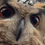 Ursula Lang - @uschi___lang - Instagram