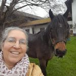 Ursula Mayer - @ursel_vom_paulihof_ - Instagram
