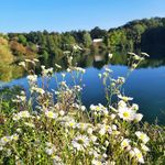 Ursula Mayer - @rosen.maedl - Instagram